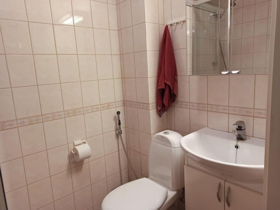Cosy Loft Apartment Helsinki Bagian luar foto